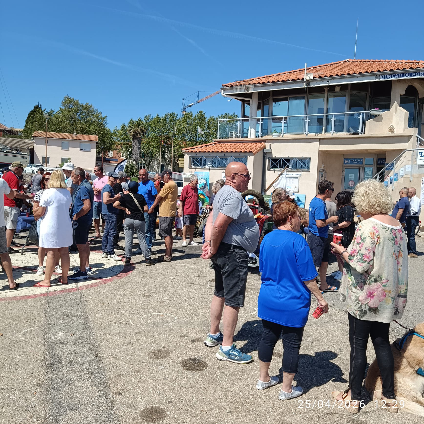 WhatsApp Image 2026-04-25 at 17.25.08 (3)