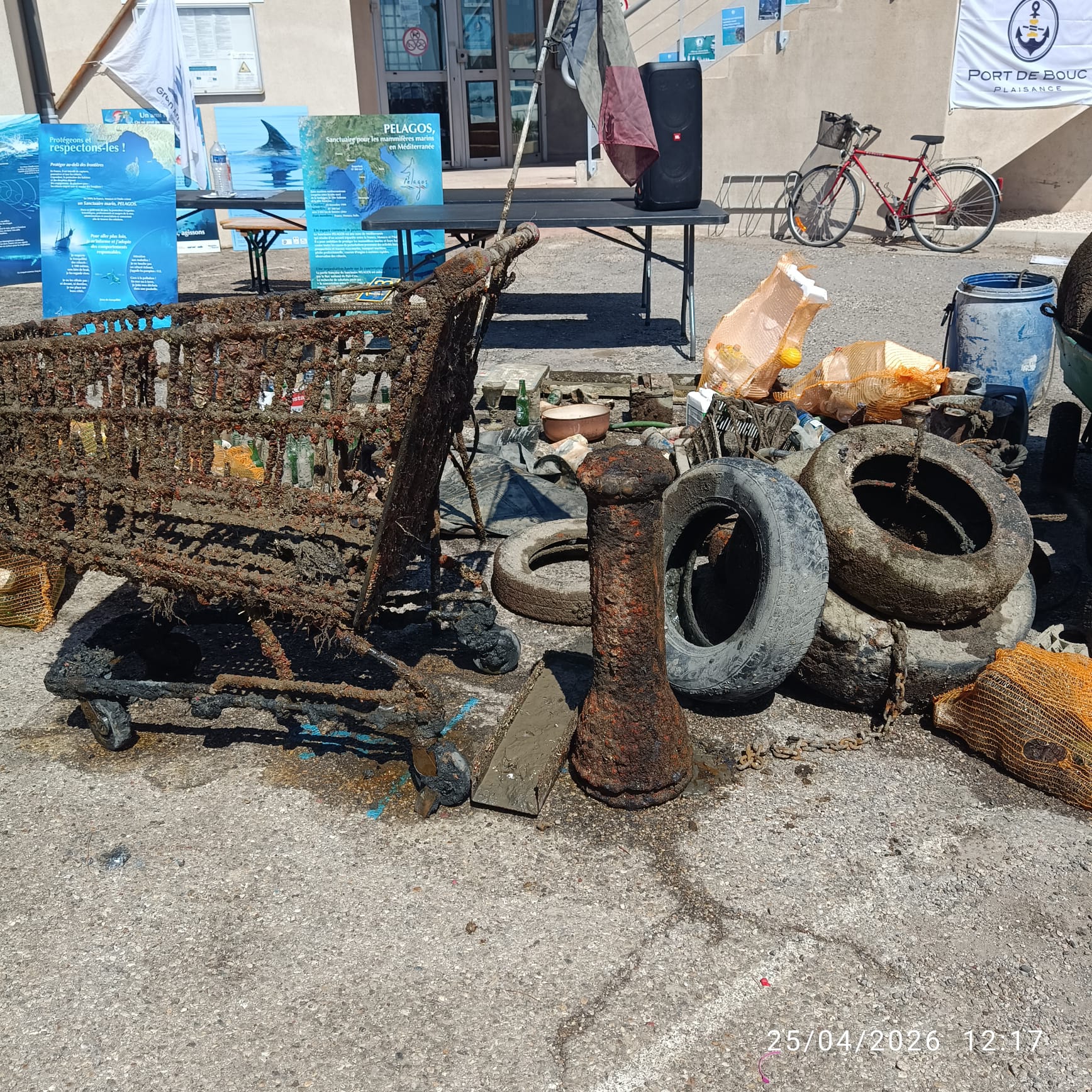 WhatsApp Image 2026-04-25 at 17.25.14